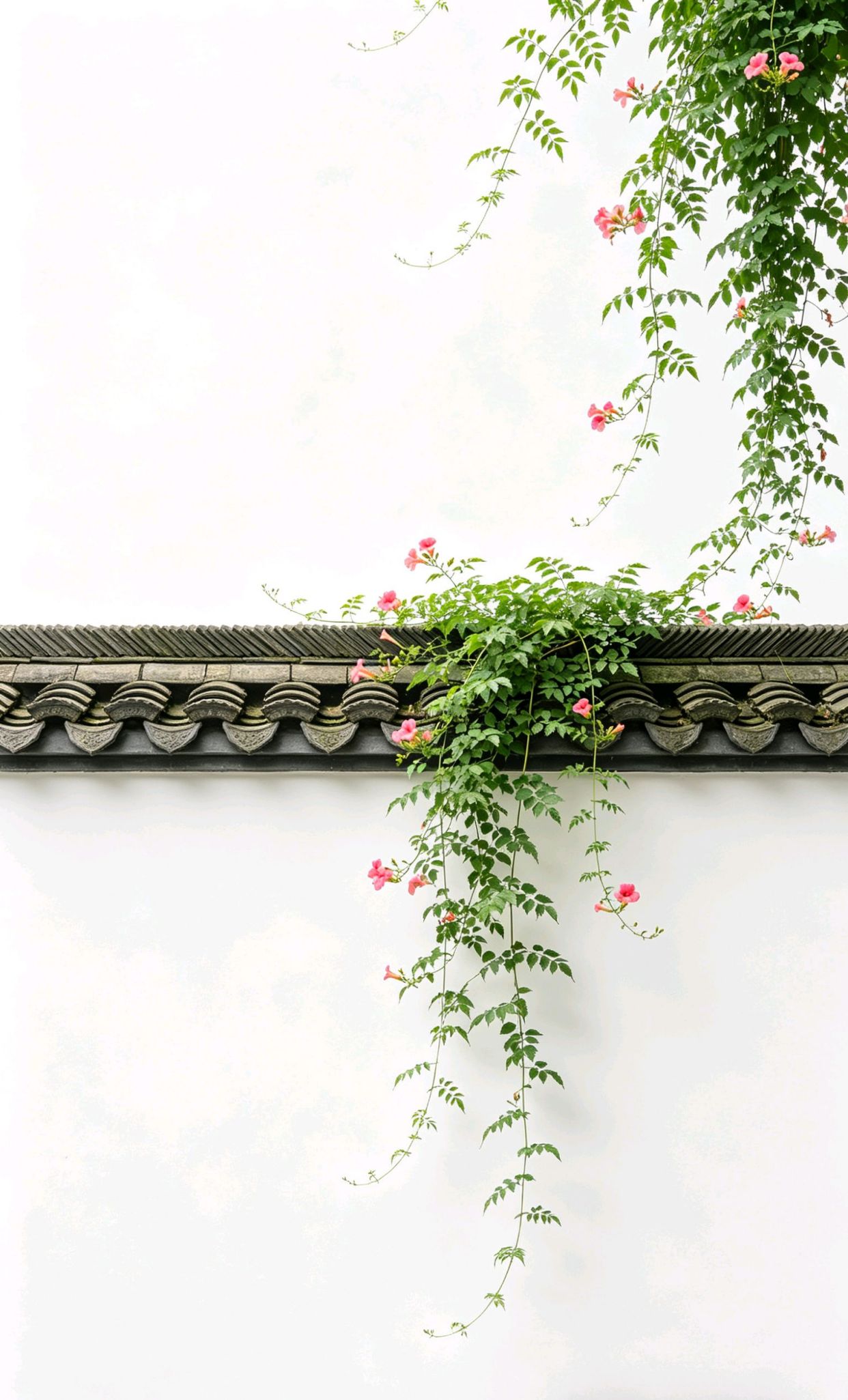 发自内心的祝福语，教师格言简短大气