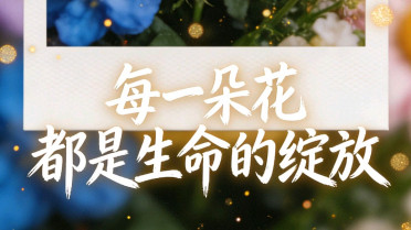 最精辟的八个字短句,优美20字短句