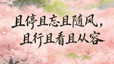 一执一念一浮生,一悲一喜一枉然，随心所欲最火的一句