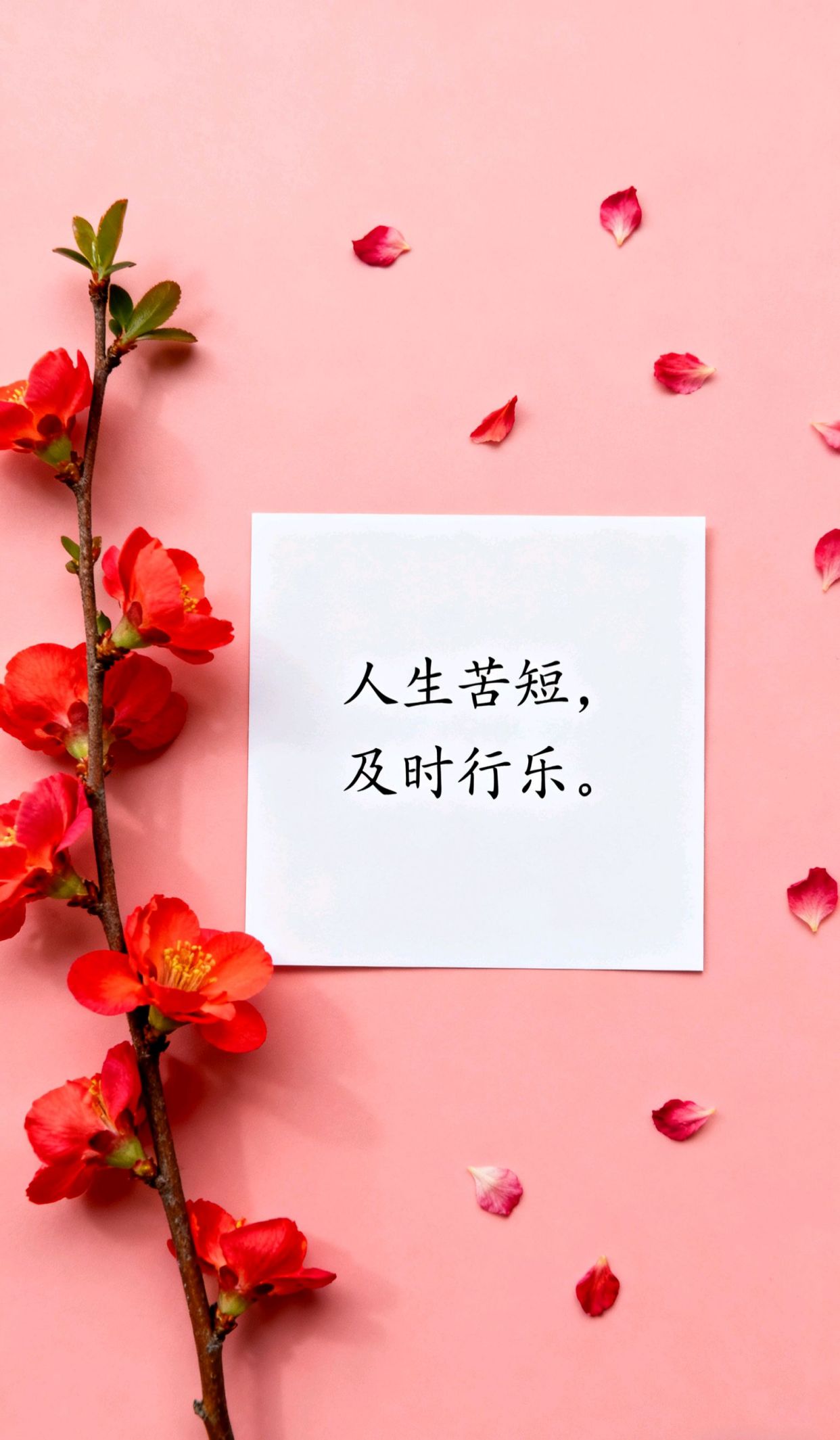 情话最暖心八个字，一万个好词