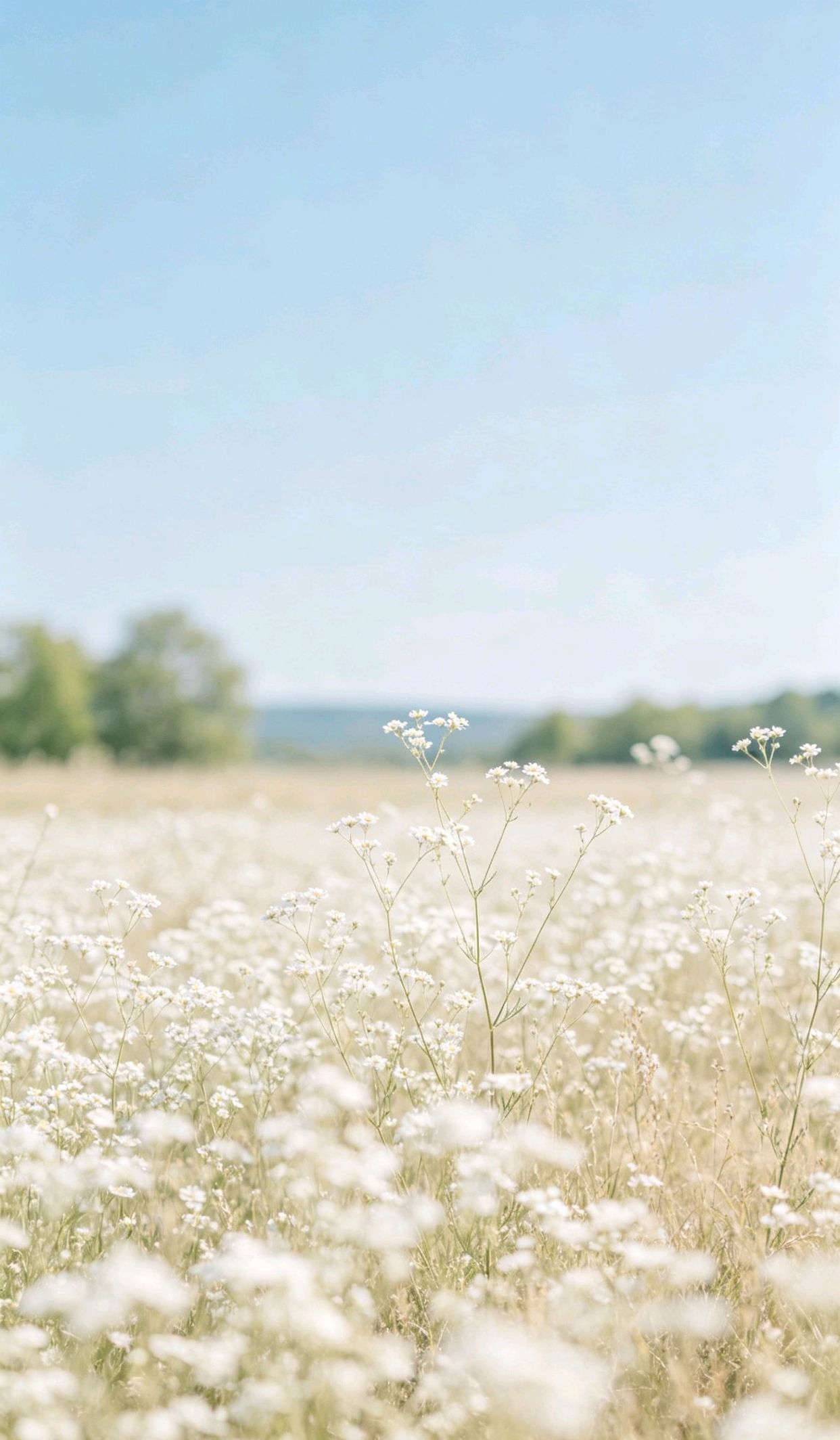 “心有热爱,行有所成”行有致远，一句话道尽人生现实
