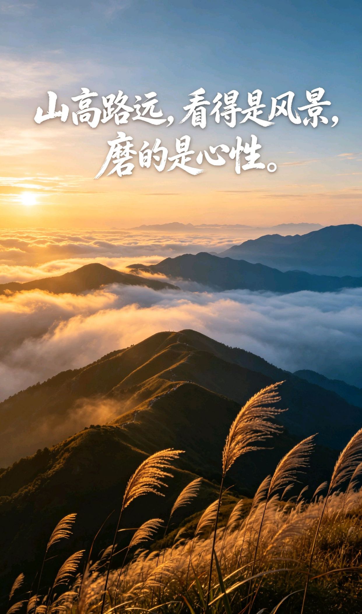 2006年央妈的绝美文案，经典阅读文章100篇