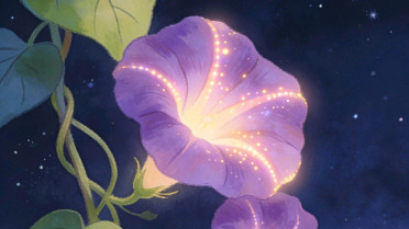 每天一段祝福的话,《七色花》课外阅读