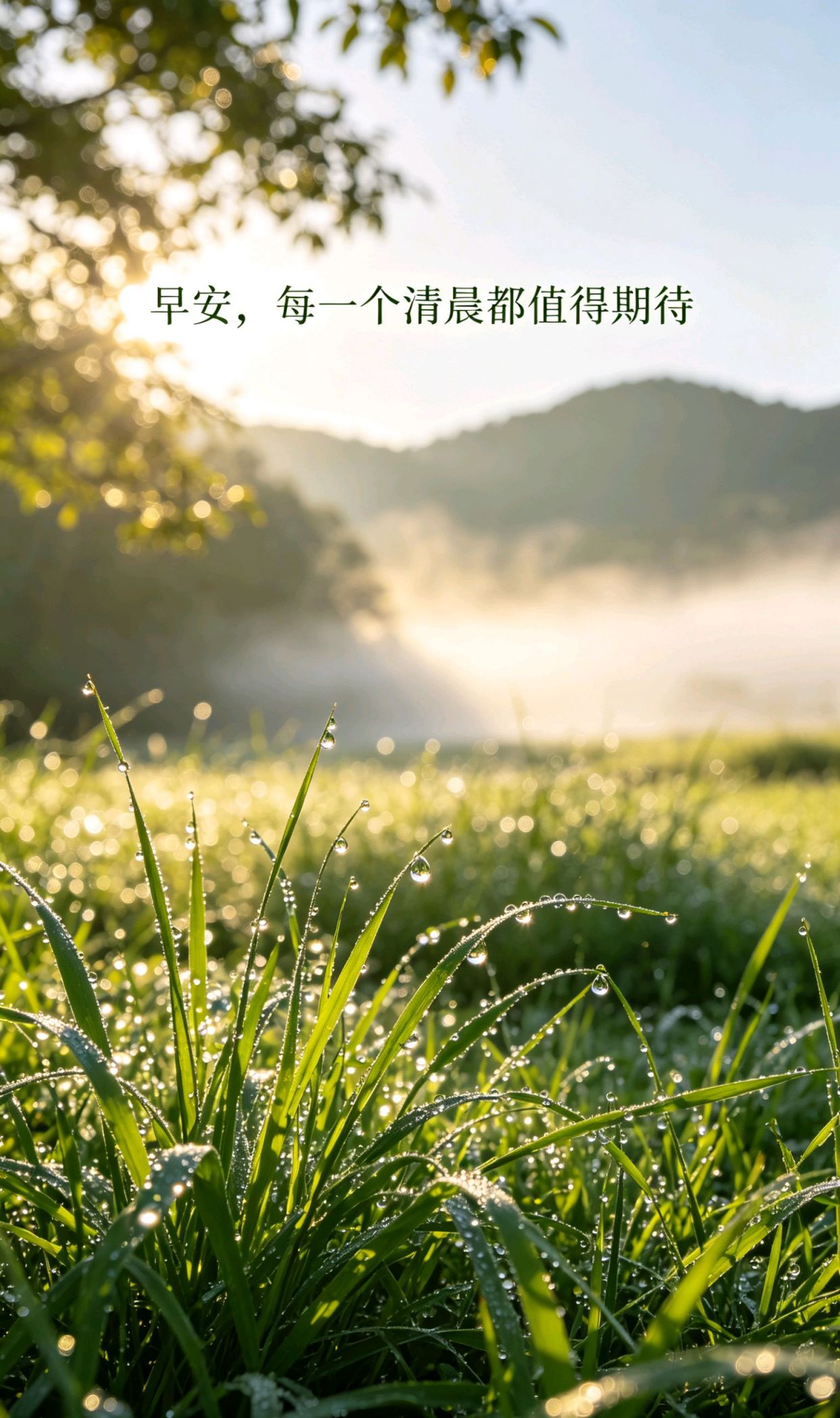 今日小美好,幸福感下句，温柔惊艳救赎的文案