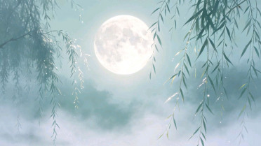 句句精辟穿透人心的句子，女人吃什么补胶原蛋白皮肤好